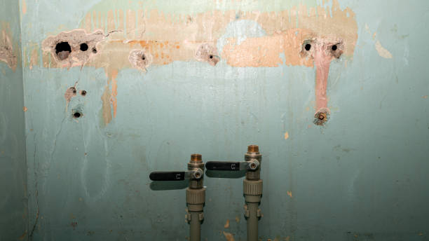 Best Sewage cleanup and water damage restoration  in Staples, CT