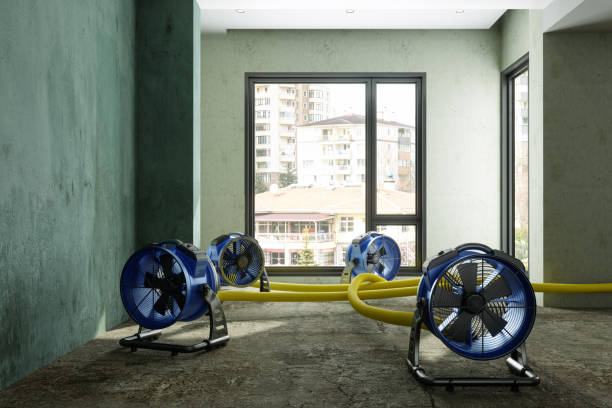 Best Local water damage restoration  in Staples, CT