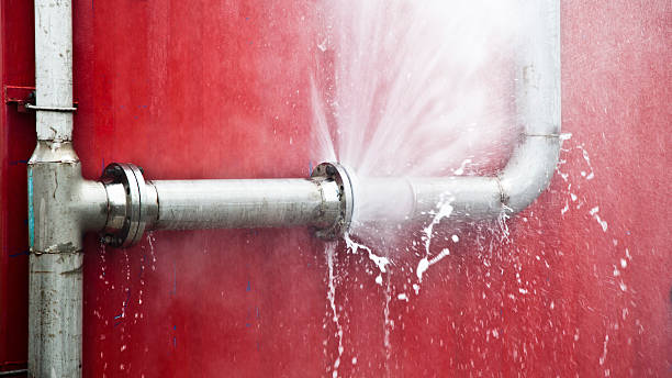 Best Carpet water damage restoration  in Staples, CT